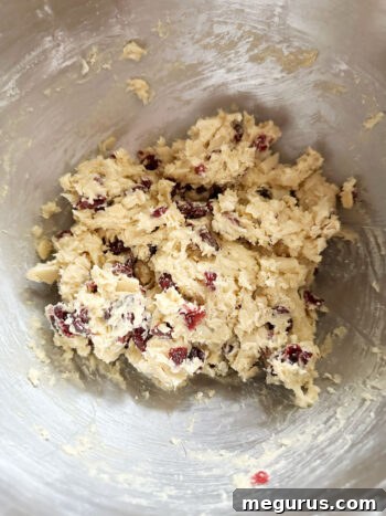 The final cookie dough, perfectly mixed with cranberries and white chocolate, ready for scooping.