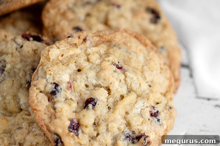 A warm stack of cranberry oatmeal white chocolate cookies, invitingly arranged.