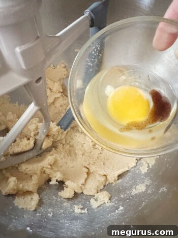 Adding egg and vanilla extract to the creamed butter and sugar mixture.