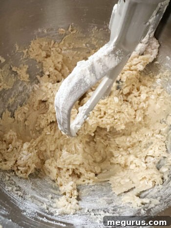 Cookie dough after the dry ingredients have been just combined, before adding mix-ins.