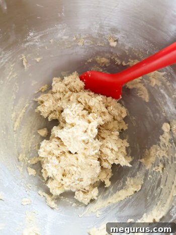 Cookie dough removed from the mixer, ready for hand-stirred additions.