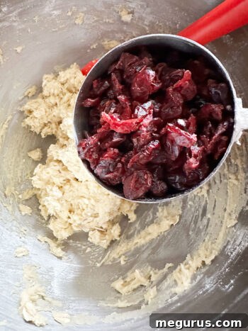 Dried cranberries being folded into the cookie dough with a spatula.