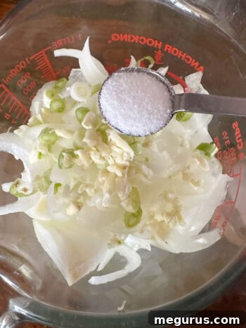 Adding salt and sugar to sliced sweet onions and minced garlic in a bowl, preparing for caramelization.