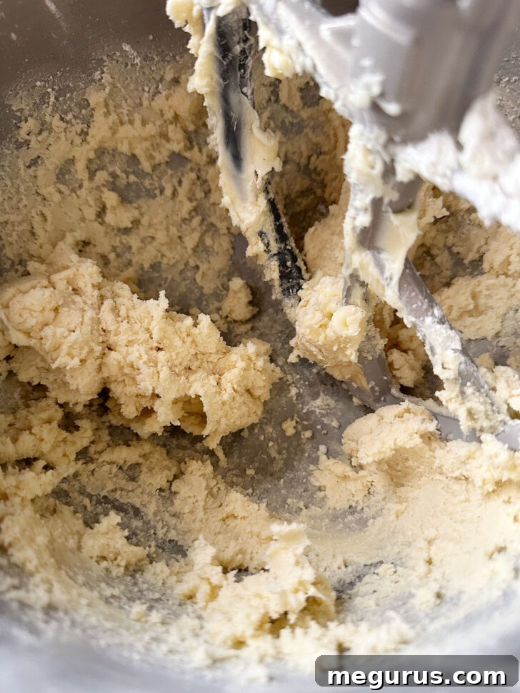 The finished, moist and sticky cookie dough in a mixing bowl.