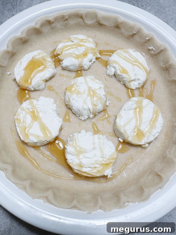 Neatly arranged slices of goat cheese log placed in the bottom of an unbaked pie shell.
