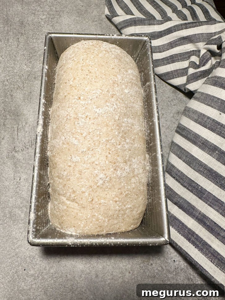 Perfectly risen dough in a loaf pan, ready for its second rise.