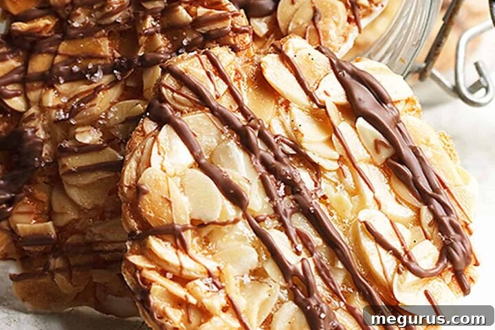 Beautifully arranged double chocolate almond Florentine cookies, showcasing the contrast of dark and white chocolate.
