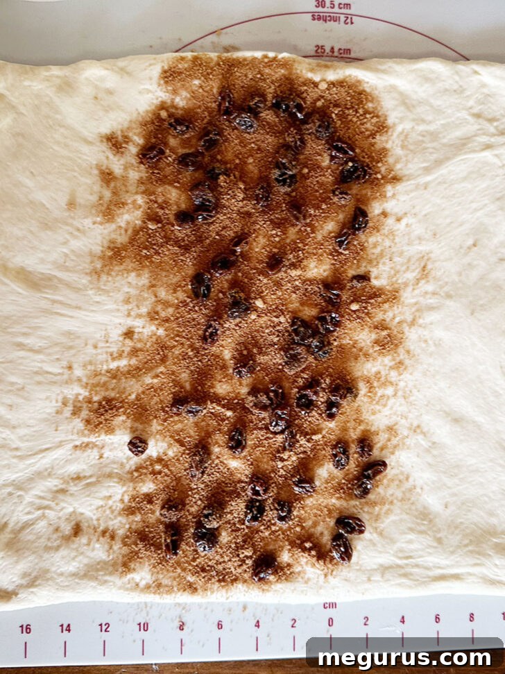 Cinnamon mixture and raisins scattered on the center third of the dough rectangle.