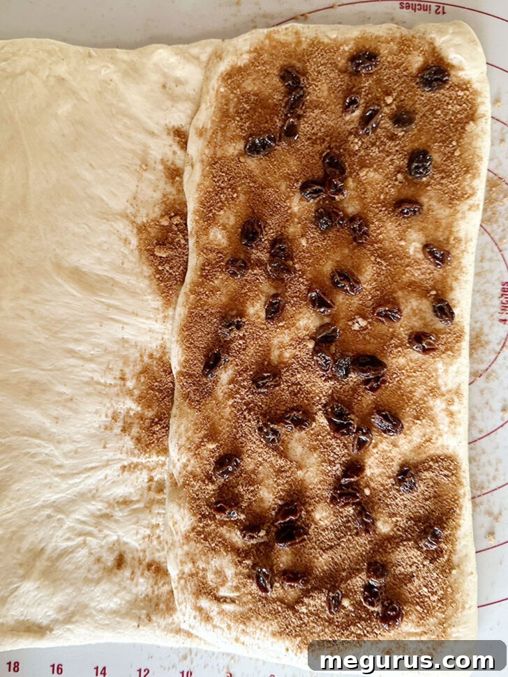 More cinnamon and remaining raisins scattered on the folded dough.