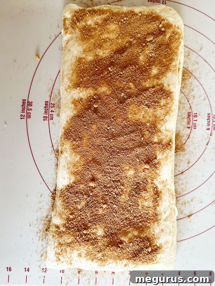 The last third of the dough folded over, with final cinnamon sprinkle.