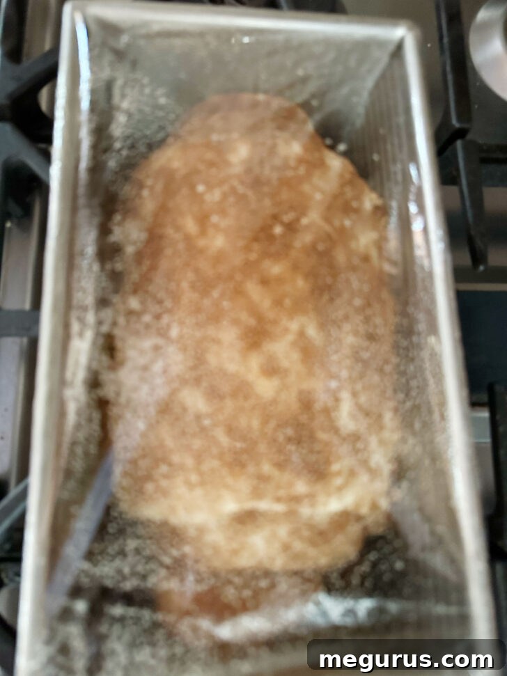 Rolled dough placed into a loaf pan, covered for the second rise.
