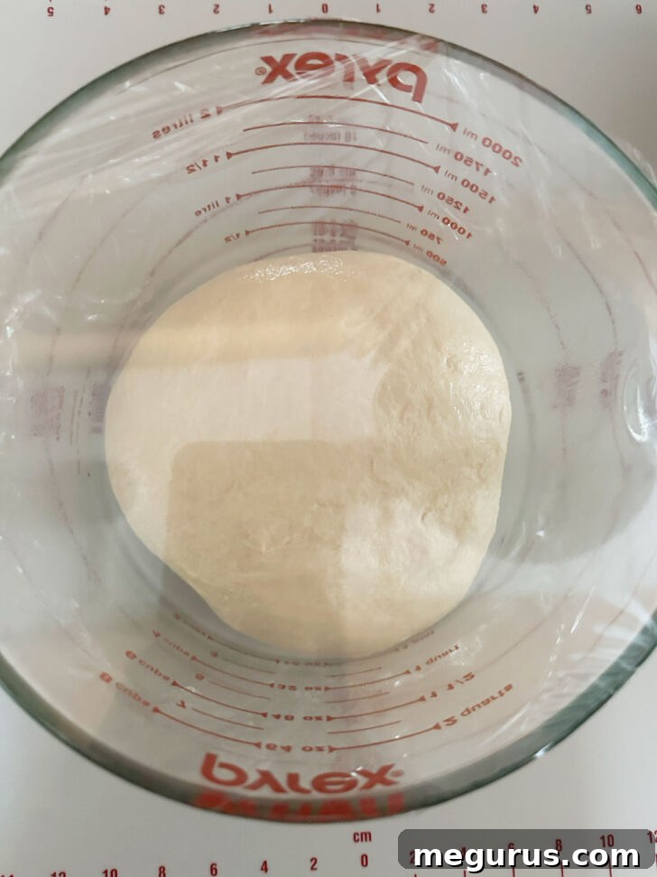 Dough rising in a covered bowl.