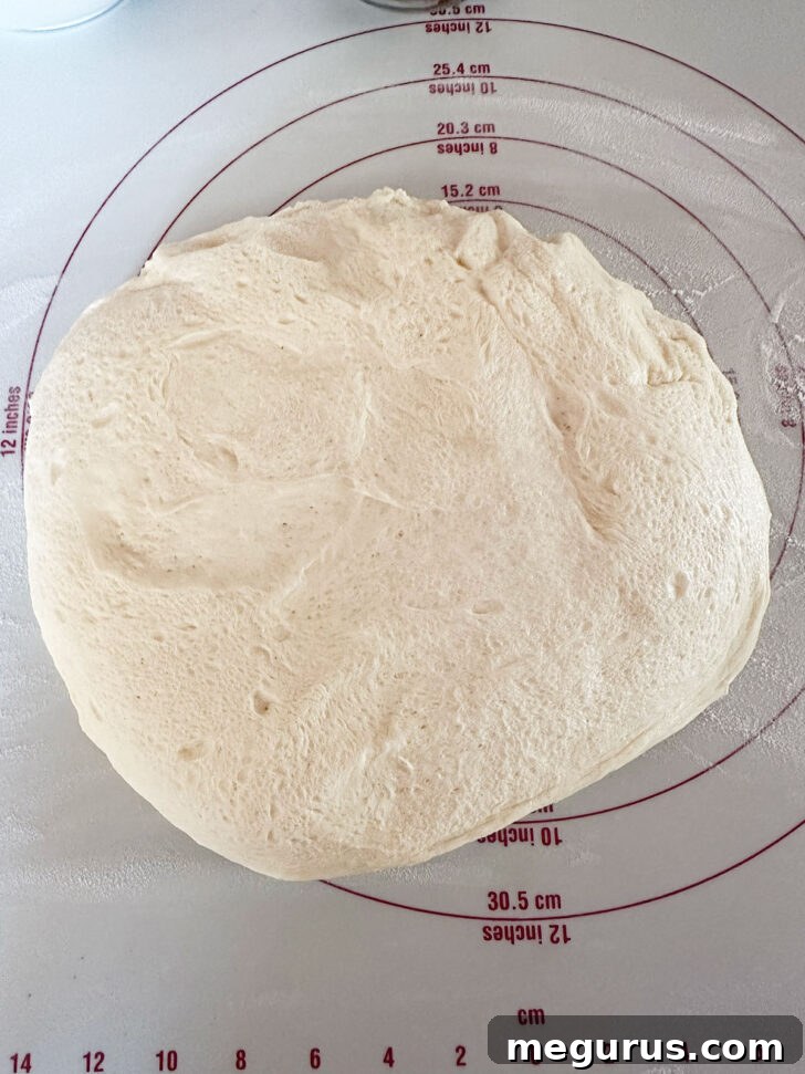 Dough after doubling in size from the first rise.