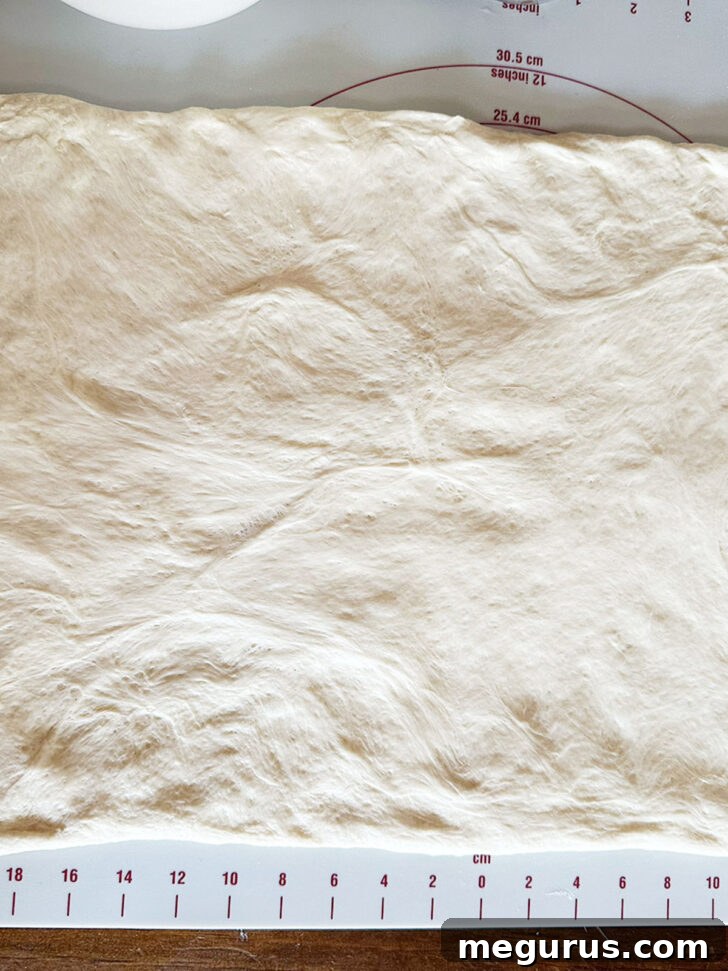 Dough gently patted and stretched into a rectangular shape.