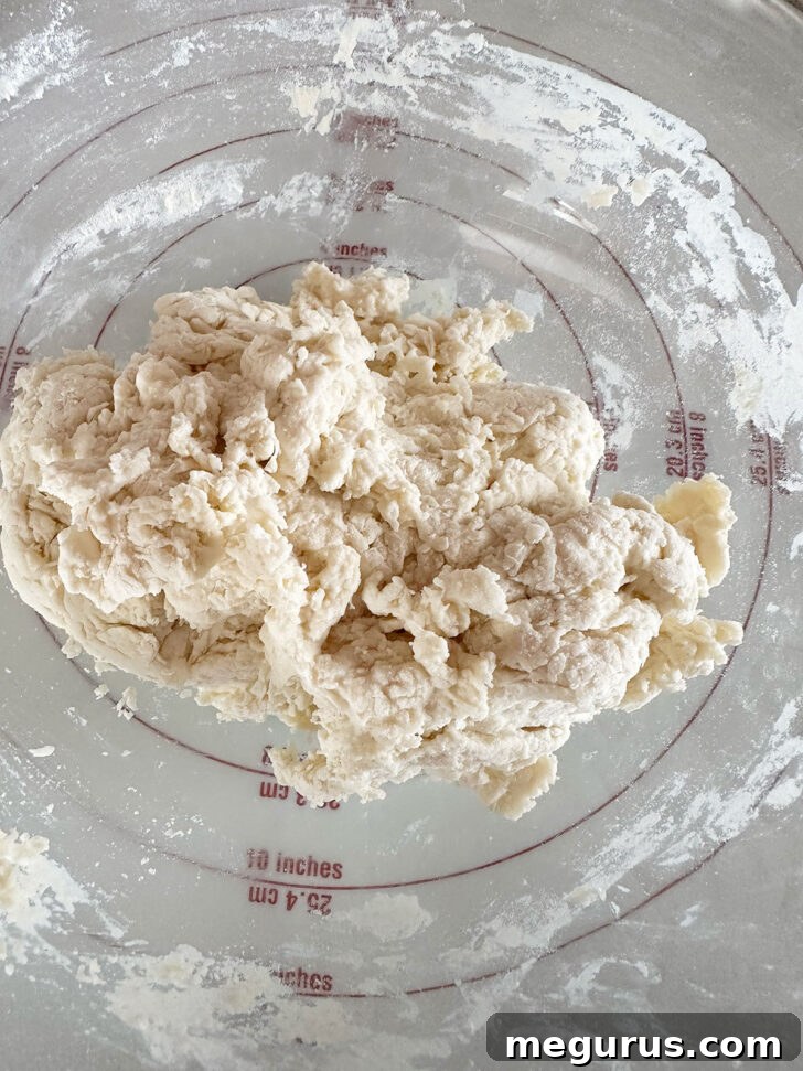 Finished dough in bowl.