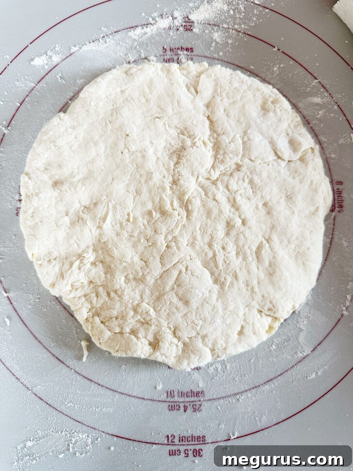 Dough patted out into a circle.