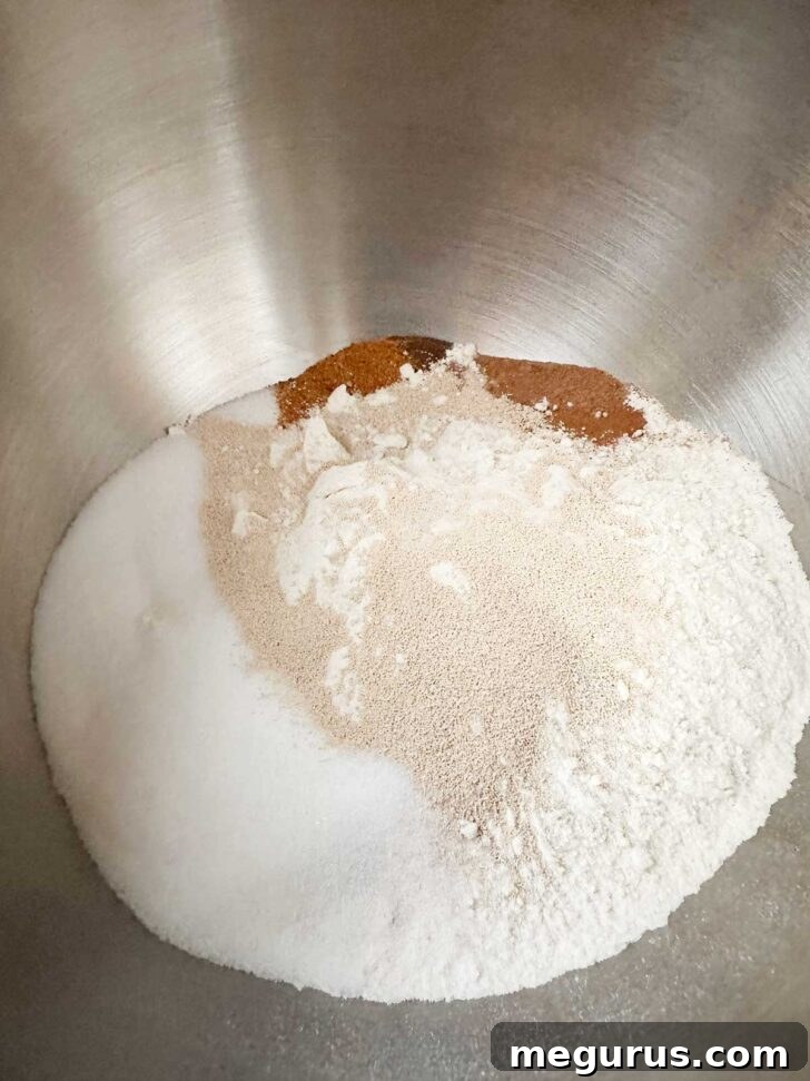 Dry ingredients in stand-mixer bowl.