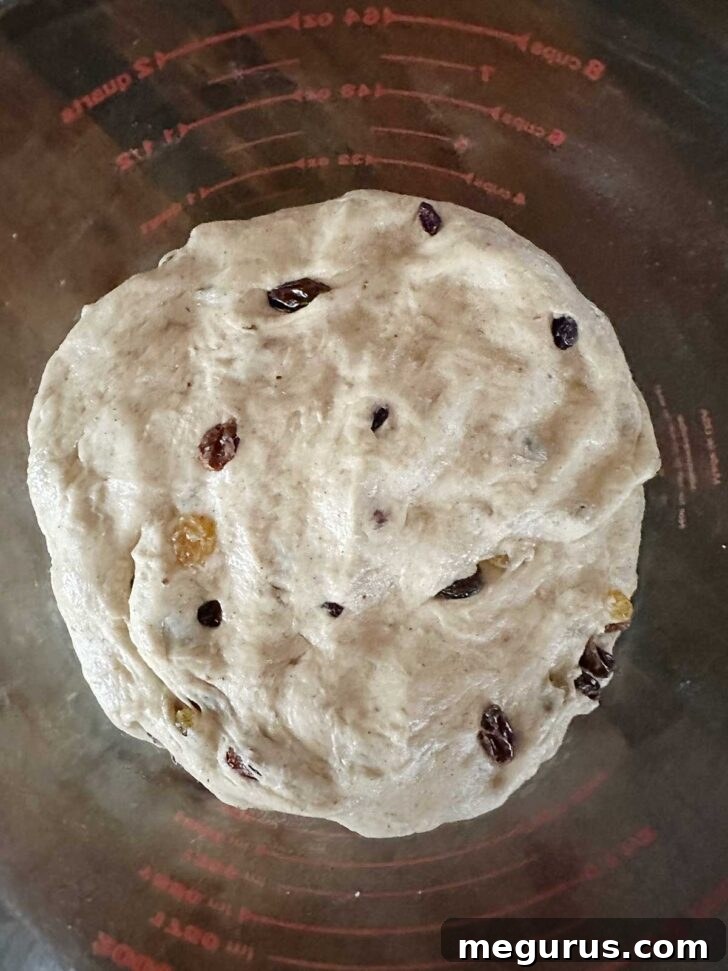 Dough set to rise in a bowl.