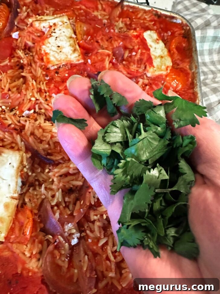 Finished tomato orzo dish garnished with fresh cilantro.