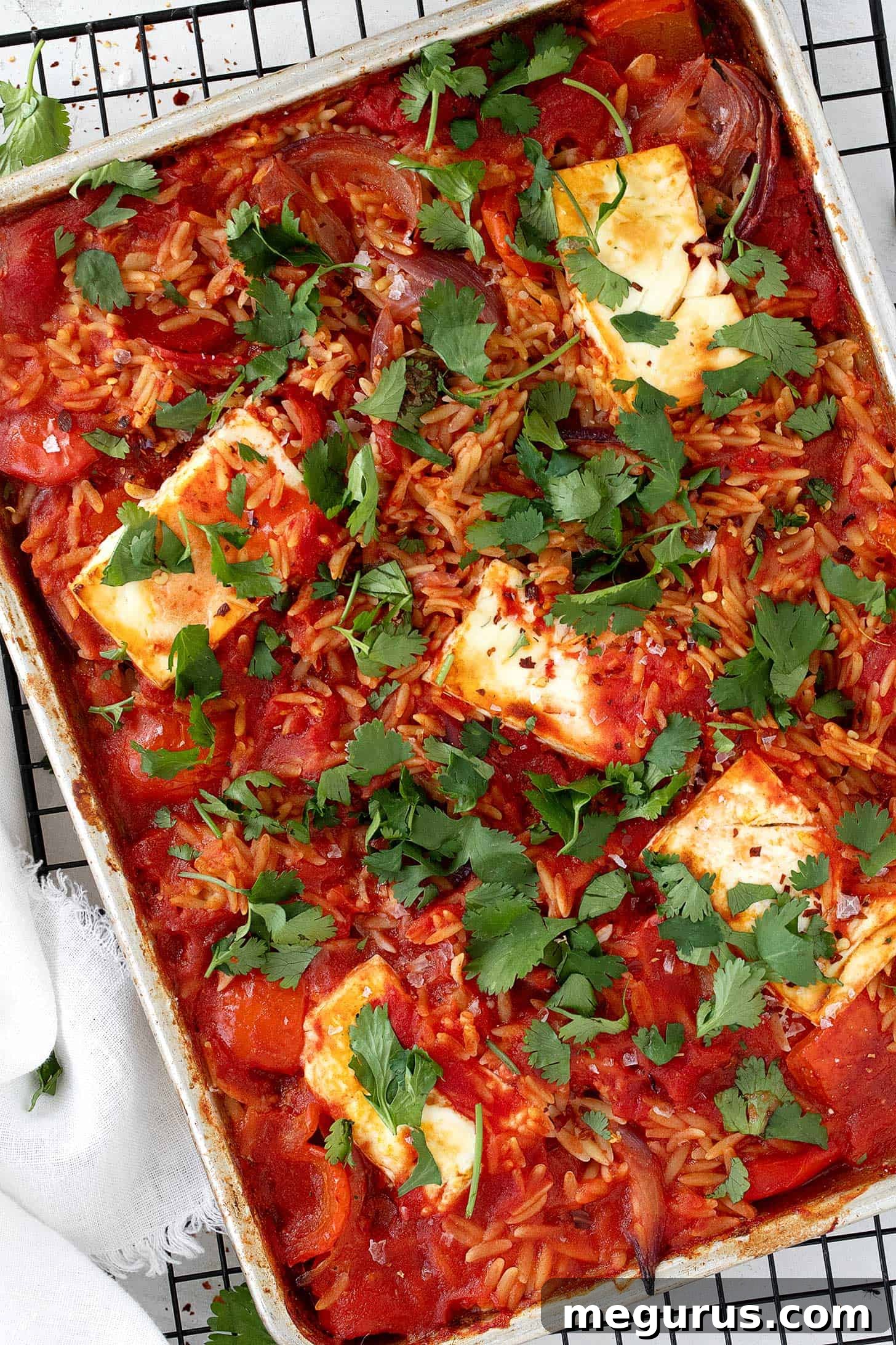Finished sheet pan tomato orzo, ready to be served directly from the pan.