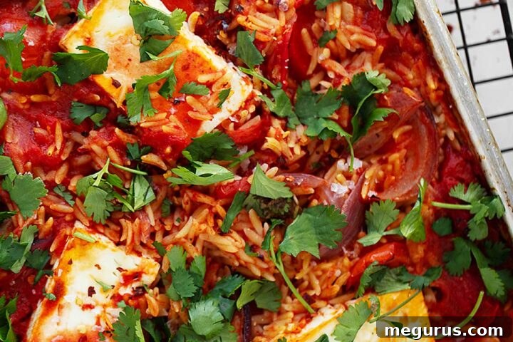 Sheet pan tomato orzo in pan, ready to serve.
