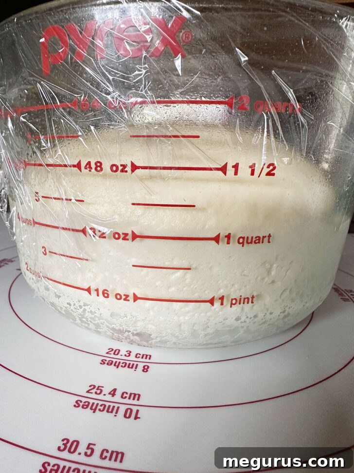 Brioche dough after successfully doubling in size during the first rise.