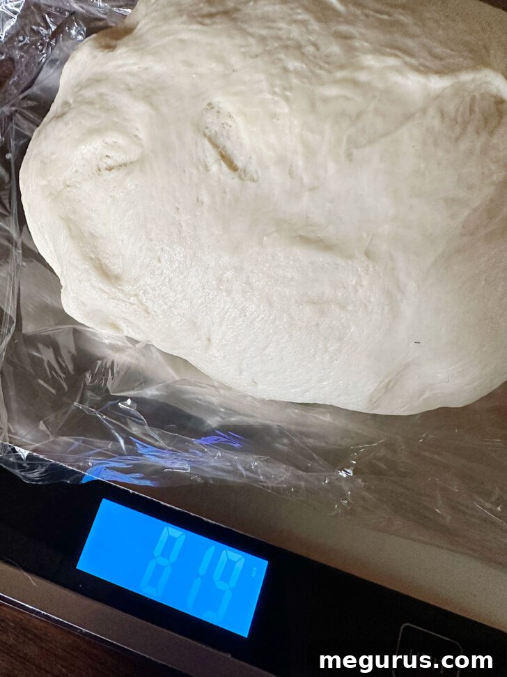 Weighing the entire risen brioche dough ball for precise division.