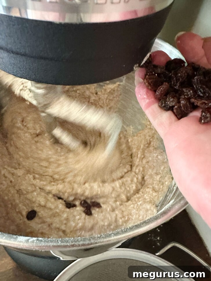 Folding plumped raisins into the muffin batter.