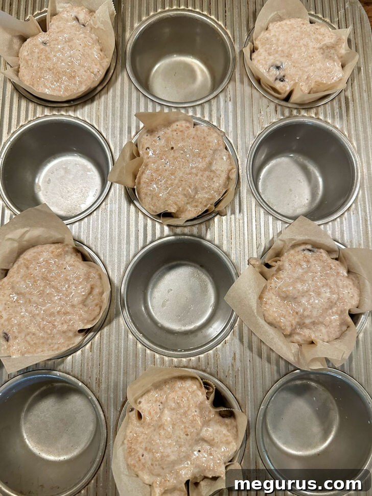 Muffin batter neatly scooped into paper-lined muffin tins, almost full.