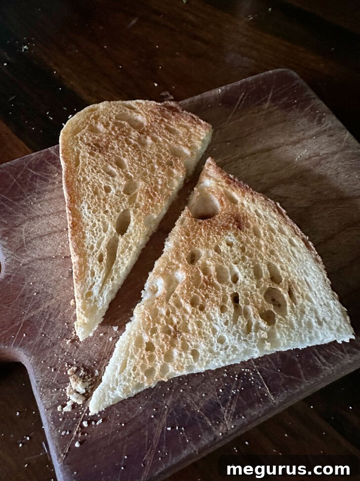Toasted bread cut into triangles.