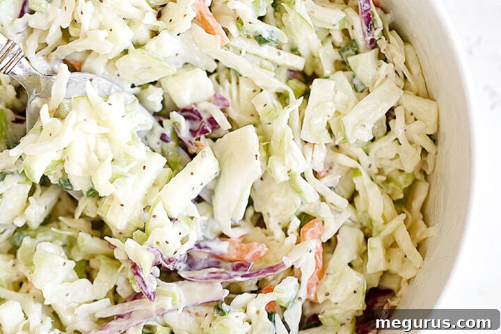 Coleslaw in bowl with spoon.