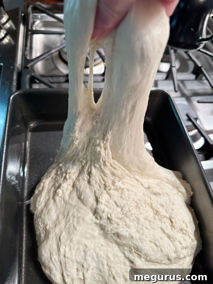 The wet focaccia dough being gently stretched and folded within the oiled baking pan, preparing for its final rise.
