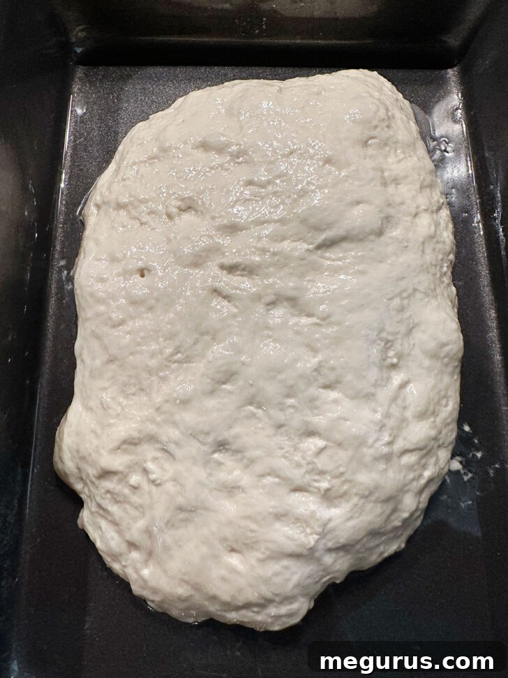 Focaccia dough roughly shaped into a rectangle in the baking pan, not yet filling the entire space, after initial shaping.
