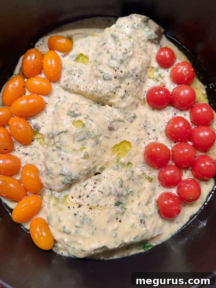 Fish and coconut sauce added to baking dish with tomatoes.