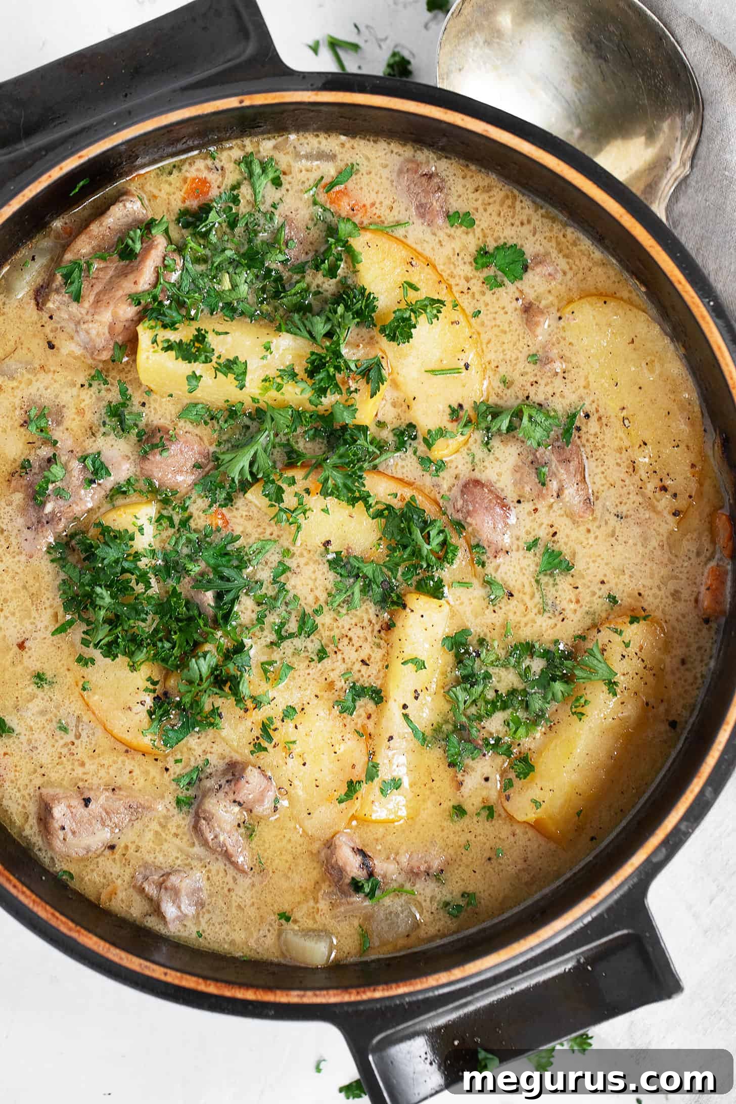 Braised pork with apples in baking dish.