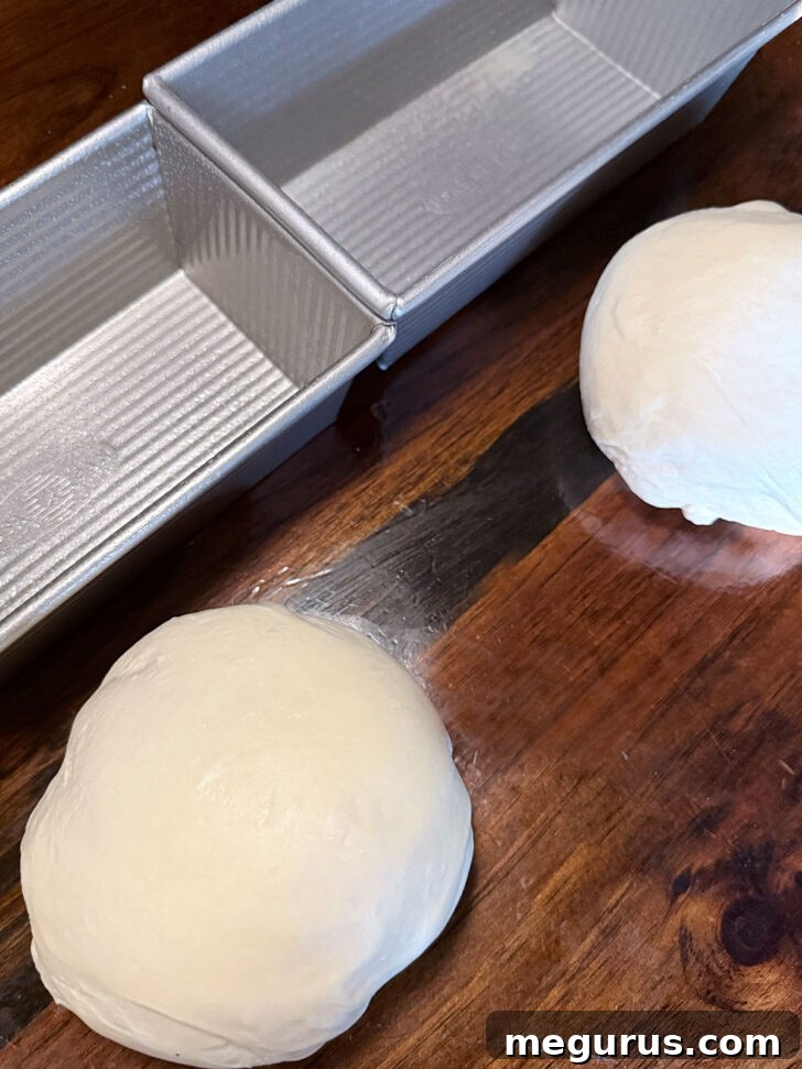 Dough divided into two pieces with loaf pans.