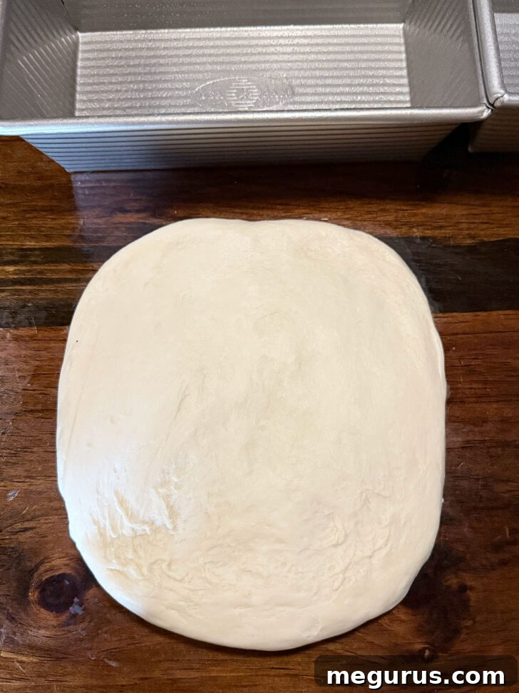 Dough ball pressed out into rectangle.
