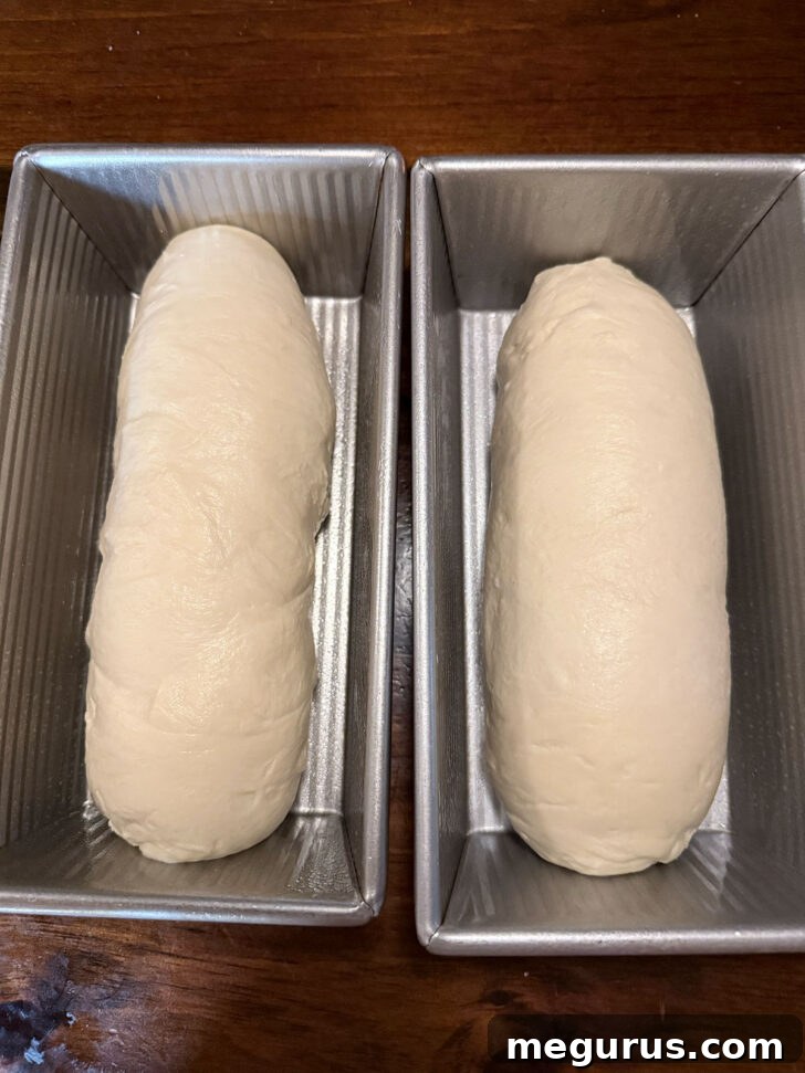 Loaves placed into greased loaf pans to rise.