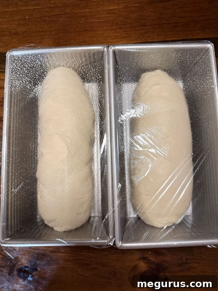 Loaves covered with plastic wrap to rise.