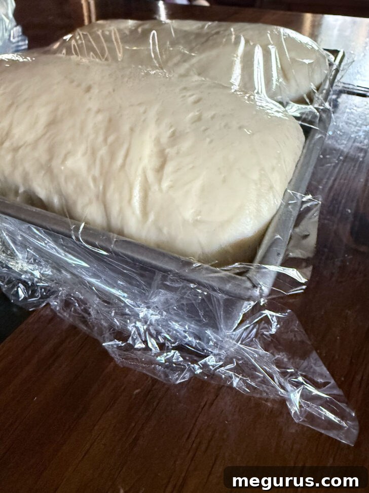Loaves after rising and ready to bake.