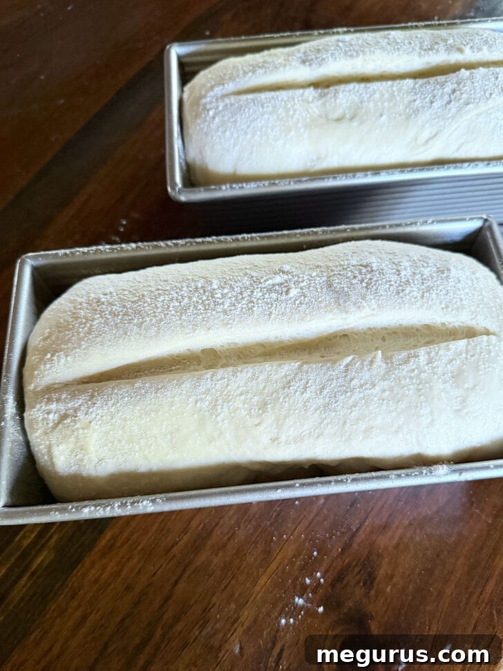 Slashing loaves before baking.