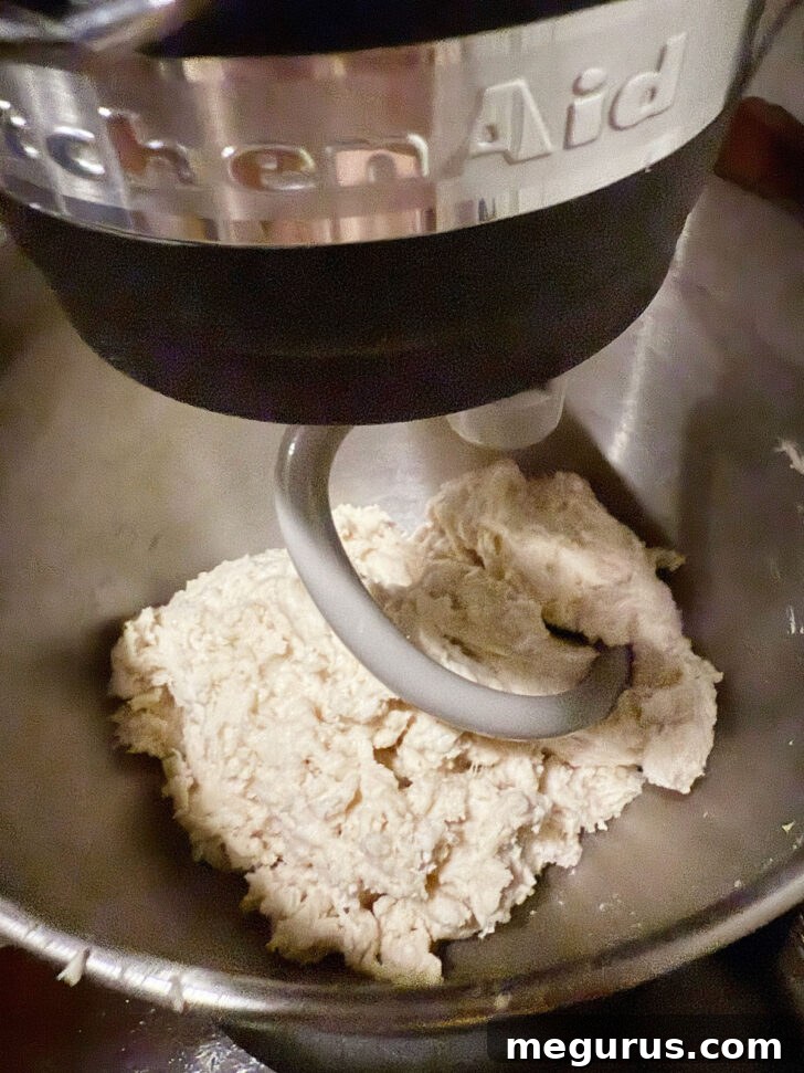 Mixer switched to kneading hook.