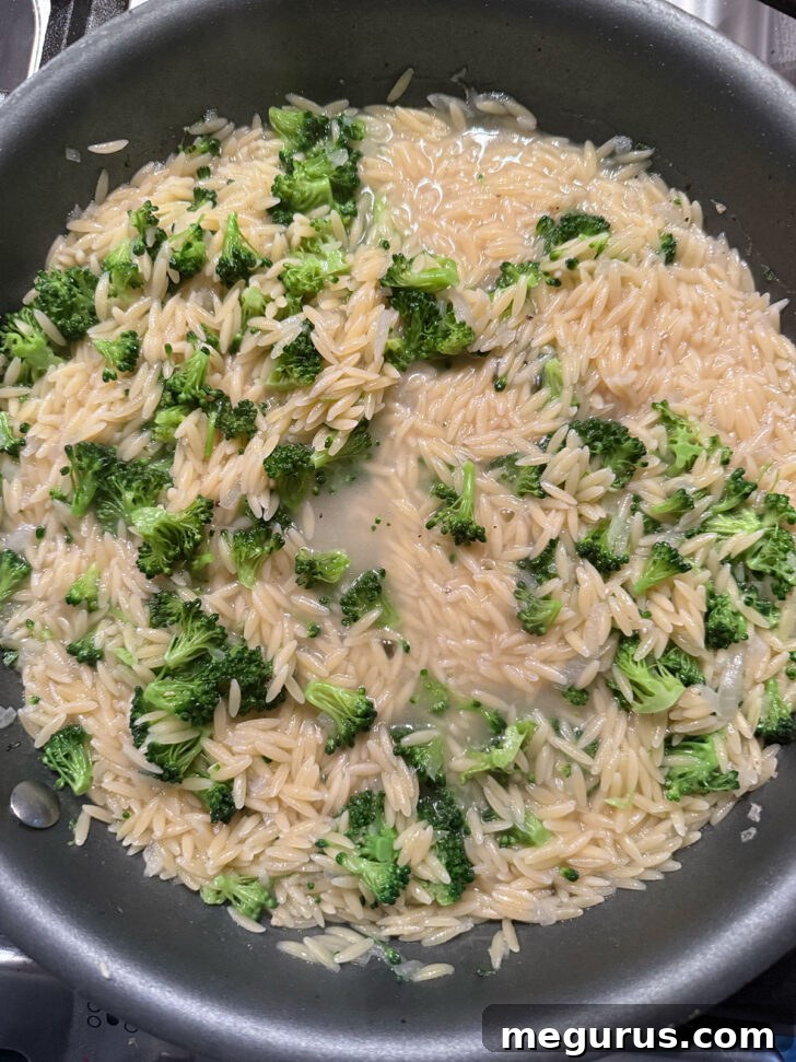 Cooking the orzo and broccoli in the broth.