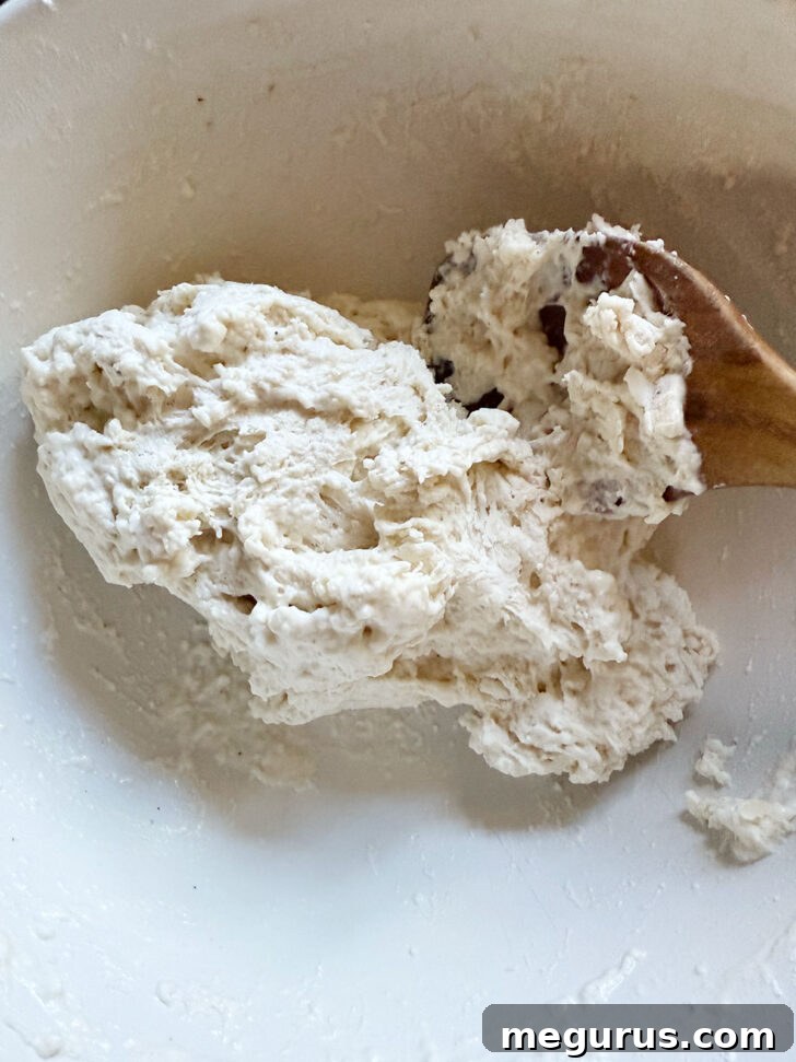 The fully mixed dough in a bowl, appearing moist and slightly shaggy.