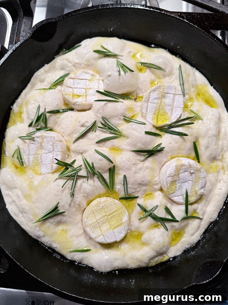 Focaccia dough fully topped with Brie and rosemary, ready for the oven.