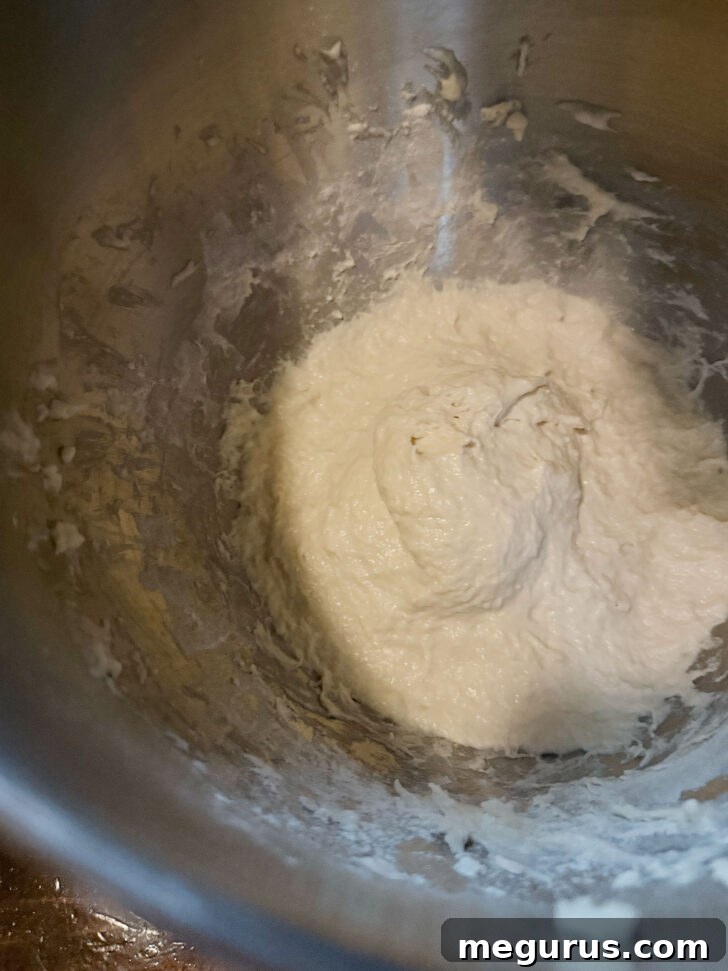 Focaccia dough after resting and completing its first stretch and fold session.