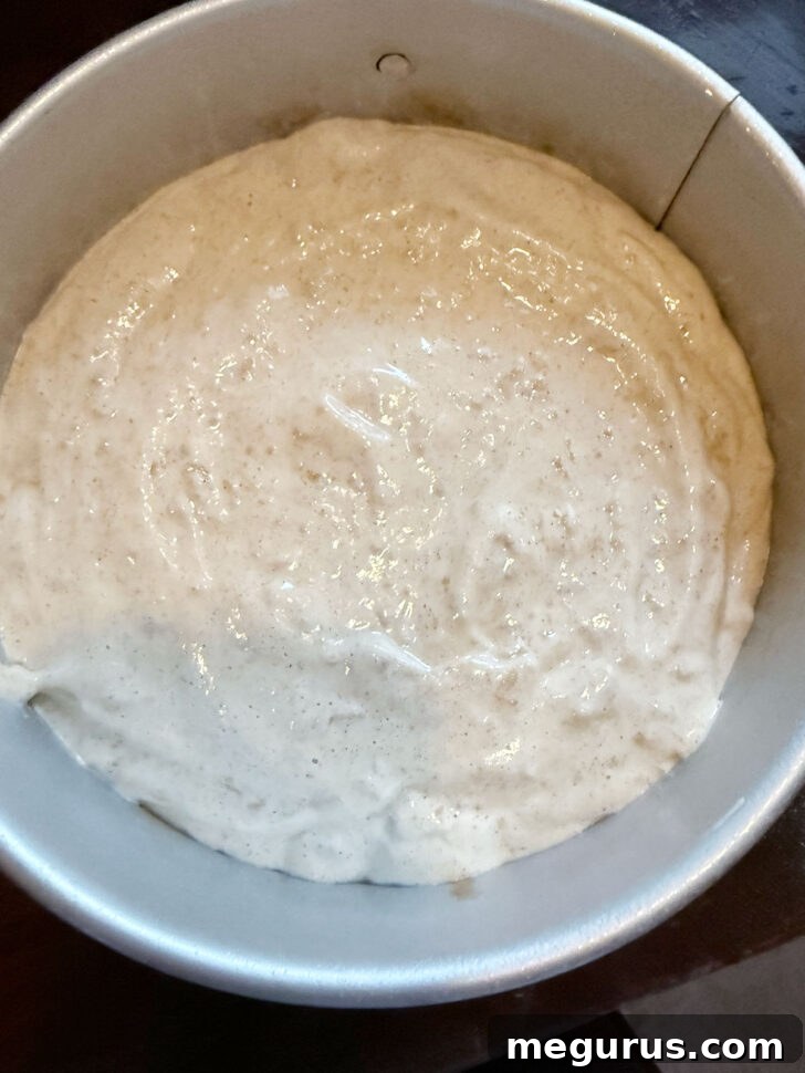 Cake batter added to the prepared baking pan, ready for the oven.