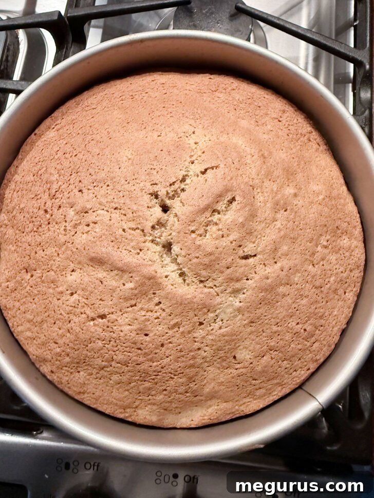 Gingerbread tres leches cake after baking, golden brown and risen.