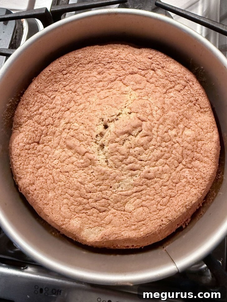 Cake after cooling in the pan, ready for removal.