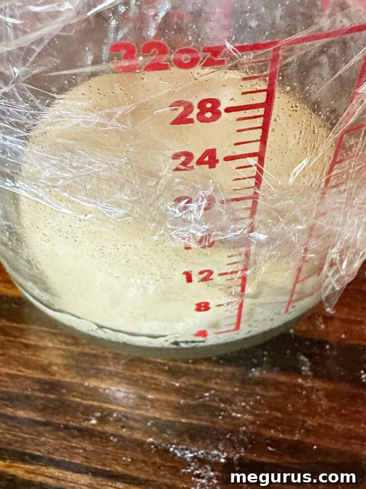Maritozzi dough in a measuring cup, prepared for its first rise.